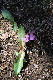 image0153