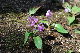 image0154
