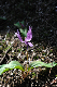 image0155