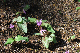 image0157