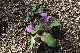 image0158