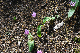 image0159
