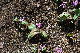 image0160
