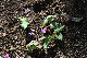 image0161