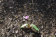 image0162