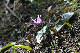 image0165