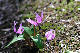 image0166
