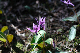 image0167