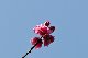 image0168