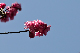 image0169