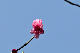 image0170