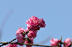 image0171
