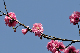 image0172