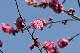 image0173