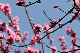 image0174
