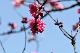 image0175