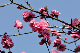 image0176