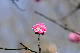 image0177