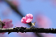 image0178
