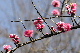 image0179