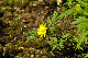 image0181