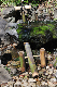 image0183