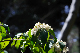 image0184