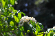 image0185