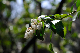 image0186