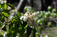 image0187