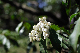 image0188