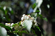 image0189