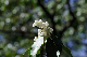 image0190