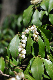 image0191
