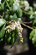 image0192