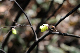 image0194