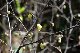 image0195