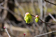 image0196