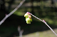 image0197
