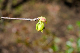 image0198