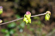 image0199