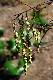 image0201
