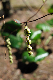 image0202