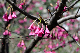 image0206