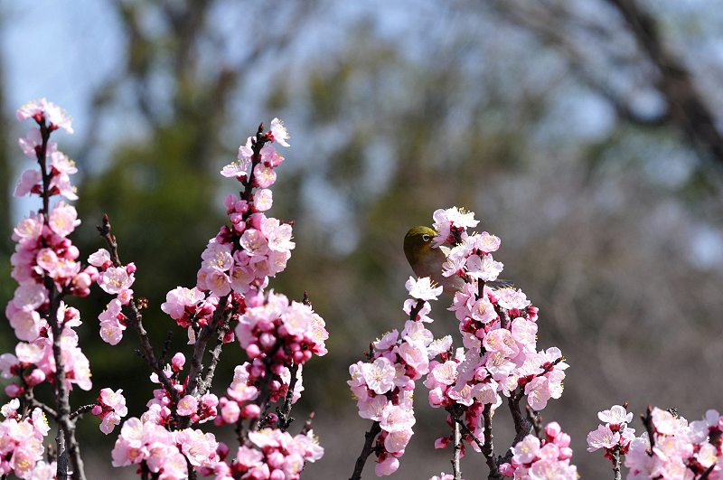 image0115