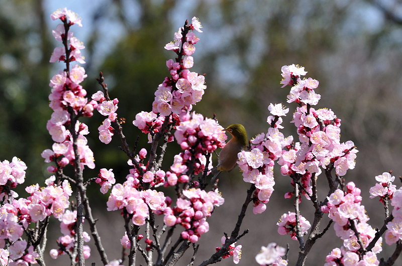 image0118