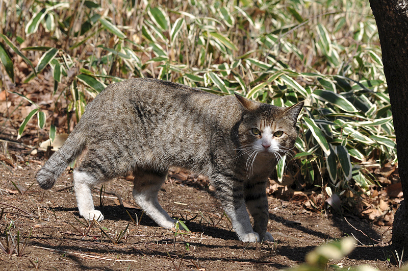 image0133