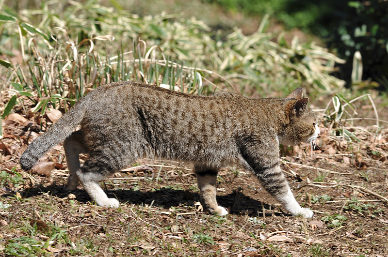 image0137