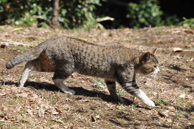 image0138