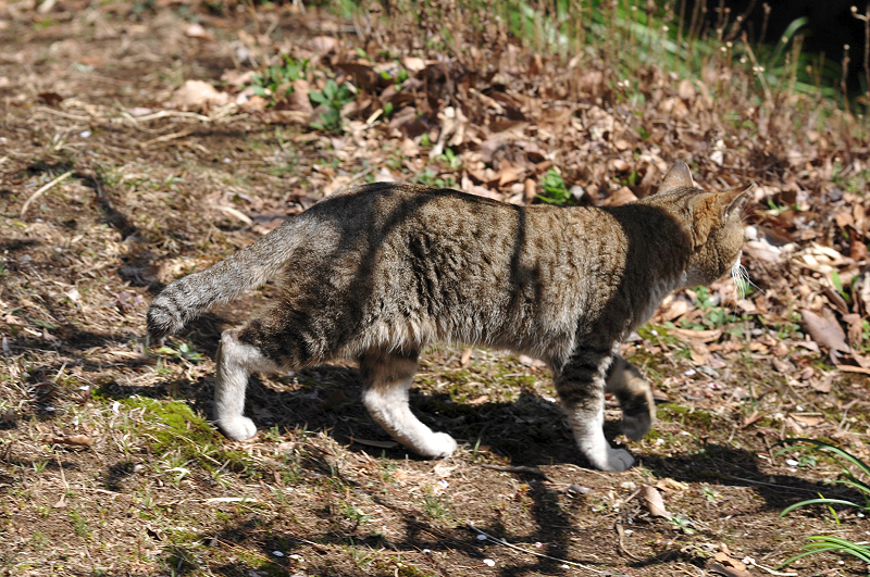 image0139